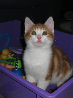 parler en toute simplicité