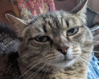 parler en toute simplicité