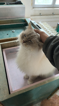 parler en toute simplicité