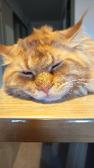 tchat avec Ton_paire