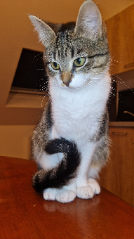 parler en toute simplicité