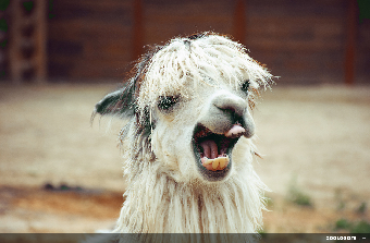 parler en toute simplicité