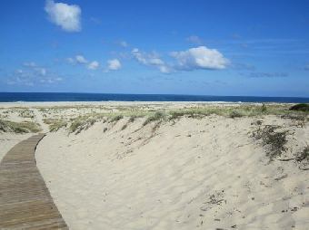 tchat avec papoteuse85