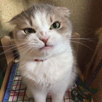 parler en toute simplicité