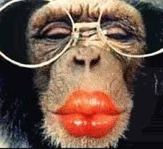 parler en toute simplicité