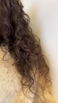 parler en toute simplicité