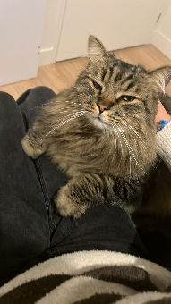 parler en toute simplicité