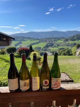 tchat avec grandcru74100