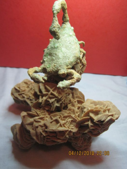 tchat avec joeDalton15