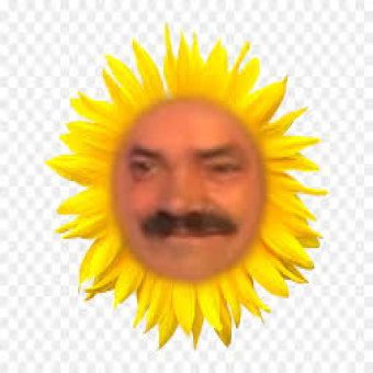 tchat avec Goodman29800