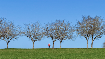 parler en toute simplicité
