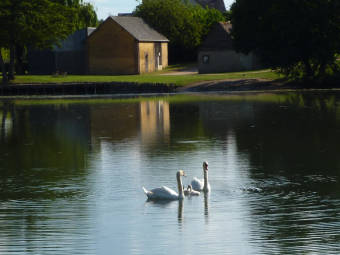 parler en toute simplicité