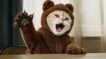 parler en toute simplicité