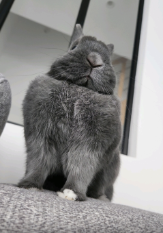 parler en toute simplicité