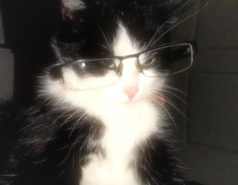 discuter gratuitement