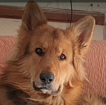 parler en toute simplicité