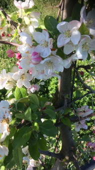 parler en toute simplicité