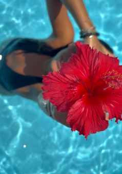 parler en toute simplicité