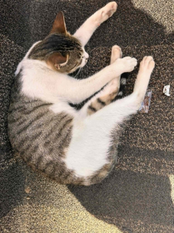 parler en toute simplicité