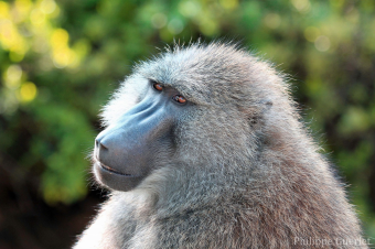 parler en toute simplicité