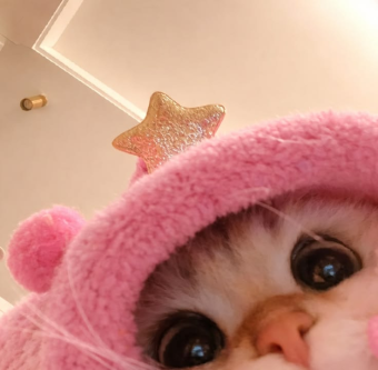 parler en toute simplicité