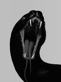 parler en toute simplicité