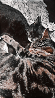 parler en toute simplicité