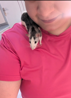 parler en toute simplicité