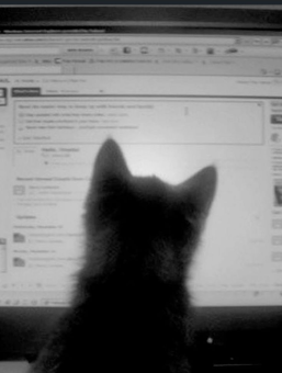 parler en toute simplicité