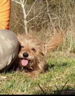 parler en toute simplicité